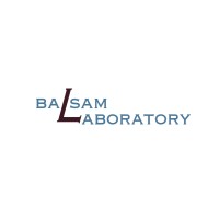 Balsam Laboratory Company Ltd logo - Similar company to Cloud 7 Agency
