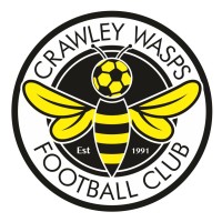 Crawley Wasps Lfc