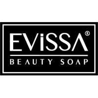 EVİSSA logo - Similar company to Aslankaya Group