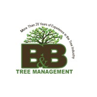 B & B Tree Management Llc 🌳