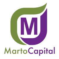 Marto Capital logo - Similar company to Ionic Media