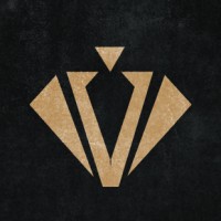 VIP Ventures logo - Similar company to Open Door Valet