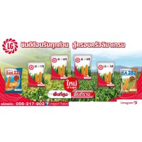 Limagrain (Thailand) logo - Similar company to Verve Seeds