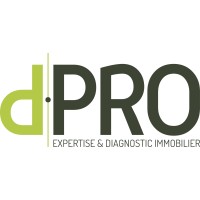 d.PRO - Diagnostics Immobiliers logo - Similar company to Diagnostic Immobilier Et Audit Energétique  Ediar Membre Du Réseau D.Pro