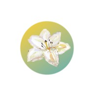 End of Life Resources, LLC logo - Similar company to Brandywine Valley Active Aging