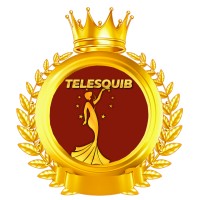TELESQUIB: Digital Solutions Hub logo - Similar company to Okportech Digital