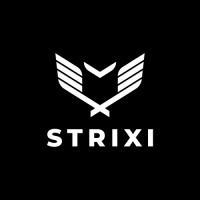 STRIXI logo - Similar company to Hellmann Express Services Bv - Direct Load