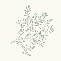 Alana Harris Counseling, PLLC logo - Similar company to Optimallife Wellness Center