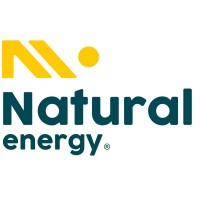 Naturalenergy.pt logo - Similar company to Electryconsulting Pt