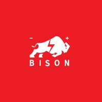 Bison Power Group CO.,LTD logo - Similar company to Cwindisk Technology