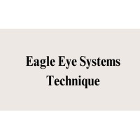 Eagle Eye Systems Techniques logo - Similar company to Statintel