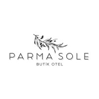 ParmaSole logo - Similar company to Wayscope