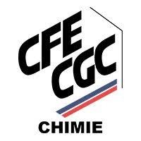 CFE CGC Forvia Intérieur Industrie logo - Similar company to Recabmeca