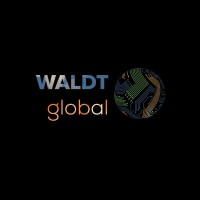 WALDT Global logo - Similar company to Tshimoloho Advisory Services