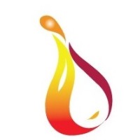 Petroleum Development Authority of Sri Lanka logo - Similar company to Federation Against Biomass Power Plants & Deforestation