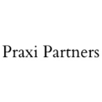 Praxi Partners GmbH logo - Similar company to Loopx