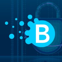 Bubble Protocol logo - Similar company to Ultimate Identity