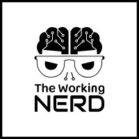 The Working Nerd logo - Similar company to Craftee Studios