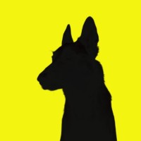 Mayfield Marketing logo - Similar company to Traffic Data Group