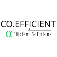 Co.Efficient Alpha logo - Similar company to Great Cosmo Industries