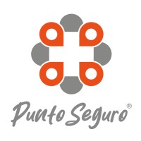 Punto Seguro logo - Similar company to Webcorp Ai