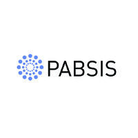 Pabsis Business Consulting Services logo - Similar company to Consulting Node Inc