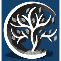 StoneTree Investment Partners logo - Similar company to Stone Tree Studio