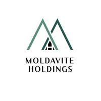 Moldavite Holdings