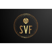 Silicon Valley Financial (SVF) logo - Similar company to Insijets