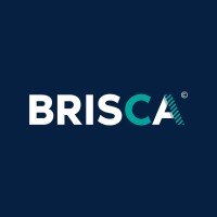 Brisca logo - Similar company to Kloudac