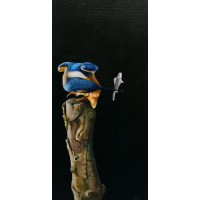 Vanessa Raaphorst Arts