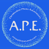 A.P.E. - Association Of Photo Events