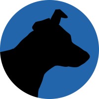 Junkyard Dog Marketing logo - Similar company to Keystone Media International