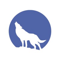 Wolf IT logo - Similar company to D.R.Tech
