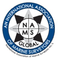 NAMSGlobal logo - Similar company to Texas Brigades