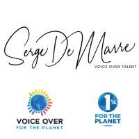 the voice is mine llc