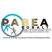 PABEA-COBALT/FNPSS logo - Similar company to Anaïs Concept