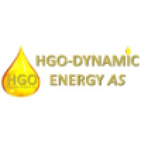 Dynamic Energy Services Llc