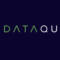 DataQu logo - Similar company to Wingsoft