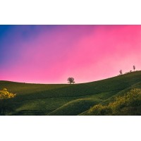 EducationDomain logo - Similar company to Alphaprimetech