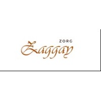 Zaggay Zorg logo - Similar company to Damborg
