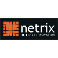 Netrix Ltd logo - Similar company to Crawlmagic Solutions