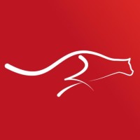 Carry Express logo - Similar company to Carry Express