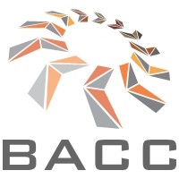 BACC Engineering Pvt. Ltd. logo - Similar company to Loyli Engineering