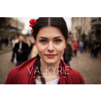 Valkyrie logo - Similar company to Bluewhiteibridge Ventures