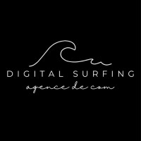 Digital Surfing logo - Similar company to Pionarius