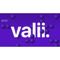 Valii logo - Similar company to Softpeak