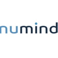 NuMind consulting logo - Similar company to Brain Checker Techno Services