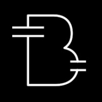 Brio Interactive logo - Similar company to Aaztec India Solution