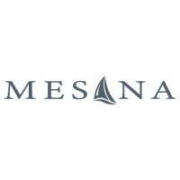 Mesana logo - Similar company to Grupo Jsv